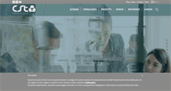 Desktop Screenshot of cstconsulting.net